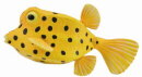 CollectA 88788 - Yellow Boxfish