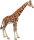 Bullyland 63710 - Giraffe Bull
