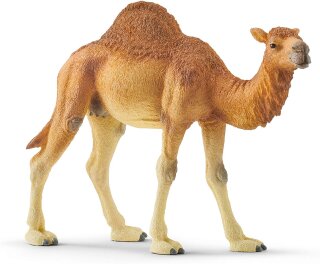 Schleich 14832 - Dromedar