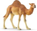 Schleich 14832 - Dromedar