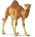 Schleich 14832 - Dromedar