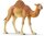 Schleich 14832 - Dromedar