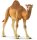 Schleich 14832 - Dromedar