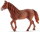 Schleich 13870 - Morgan Horse Mare