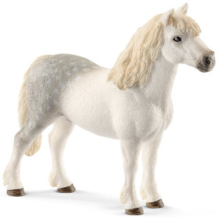 Schleich 13871 - Welsh-Pony Stallion