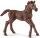 Schleich 13857 - Thoroughbred Foal