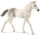 Schleich 13860 - Holsteiner Foal