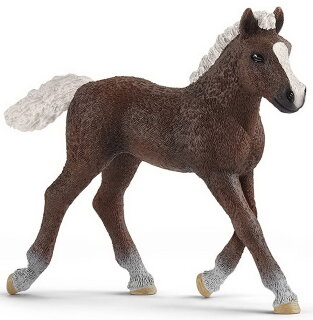 Schleich 13899 / 17077 - Schwarzwälder Fohlen