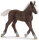 Schleich 13899 / 17077 - Schwarzwälder Fohlen