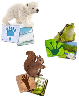 Schleich 42474 - Schleich® Lernkarten Wild Life