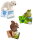 Schleich 42474 - Schleich® Lernkarten Wild Life