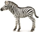 CollectA 88850 - Zebra Fohlen