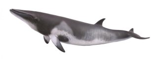 CollectA 88862 - Minke Whale