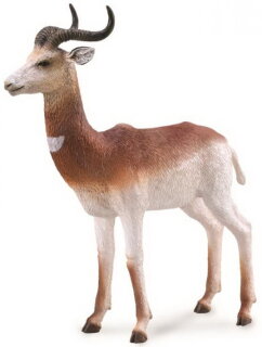 CollectA 88865 - Dama Gazelle