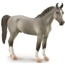 CollectA 88877 - Marwari Stallion (gray)