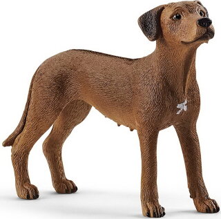 Schleich 13895 - Rhodesian Ridgeback