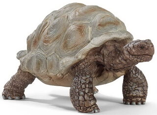 Schleich 14824 - Riesenschildkröte