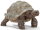 Schleich 14824 - Riesenschildkröte