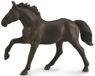 CollectA 88878 - Nonius Stallion