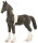 CollectA 88893 - Barock Pinto Fohlen