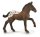 CollectA 88897 - Amerikanisches Sugarbush Draft Fohlen