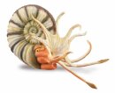 CollectA 88902 - Pleuroceras Ammonit