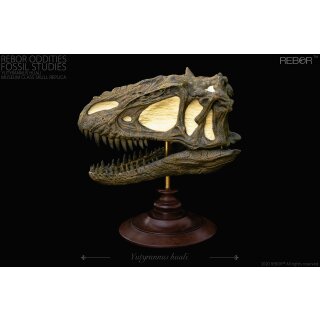REBOR 160673 - Oddities Fossil Studies Yutyrannus Huali Museum Class Skull Replica *1