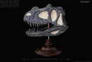 REBOR Oddities Fossil Studies Ceratosaurus Dentisulcatus...
