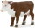 Mojö 387068 - Hereford Calf standing