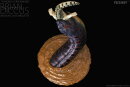 REBOR 160710 - 1:11±1 Titanoboa cerrejonensis Museum Class Maquette "Brian Diccus" *1
