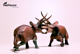 EoFauna 006 A+B- Triceratops sp Set "Dominant" + "Cryptic"
