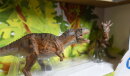 Papo 80106 - Dinosaur Set (Gorgosaurus+ Stygimoloch)