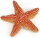 Papo 56050 - Starfish