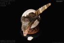 REBOR 160819 - Club Selection: Meta the Hatchling Deinosuchus Estuary Variant 500 Worldwide Limited Edition (Box damaged)