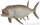 CollectA 88928 - Xiphactinus - 1:40 DELUXE