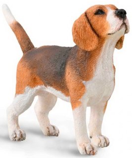 CollectA 88935 - Beagle
