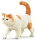 CollectA 88937 - Exotic Shorthair