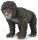 CollectA 88939 - Berggorilla Junges