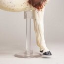 WIA EG 10003 - horraw.studios* Edition (1:18) - Arabian Mare - Bloody Shoulder Grey