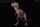 REBOR 160833 - Retrosaurus 1:35 - Vintage Palaeoart Tyrannosaurus rex "Mesozoic Rhapsody" Valley variant *1