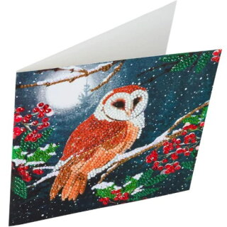 Craft Buddy CCK-A65 - Crystal Card Kit Owl