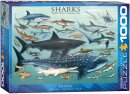 eurographics 6000-0079 - Sharks (Puzzle mit 1000 Teilen)