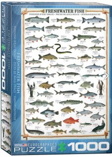 eurographics 6000-0312 - Freshwater Fish (Puzzle with 1000 pieces)