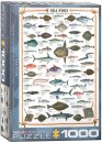 eurographics 6000-0313 - Sea Fish (Puzzle with 1000 pieces)
