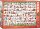 eurographics 6000-0940 - Holiday Cats (Puzzle with 1000 pieces)