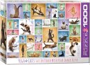 eurographics 6000-0953 - Yoga Cats (Puzzle with 1000 pieces)
