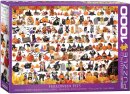 eurographics 6000-5416 - Halloween Pets (Puzzle with 1000...