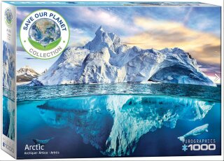 eurographics 6000-5539 - Artic (Puzzle with 1000 pieces)
