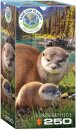 eurographics 8251-5558 - Otters (Puzzle with 250 pieces)