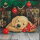 Craft Buddy CCK-A74 - Crystal Card Kit Sleepy Puppy